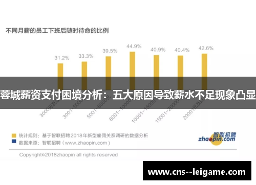 蓉城薪资支付困境分析：五大原因导致薪水不足现象凸显